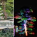 40W 60W Colored RGBW Rainbow LED Floodlight Tree Sculpture Garden Landscape Decoration Lighting IP65
